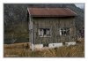 27/IMG_1001 site.jpg